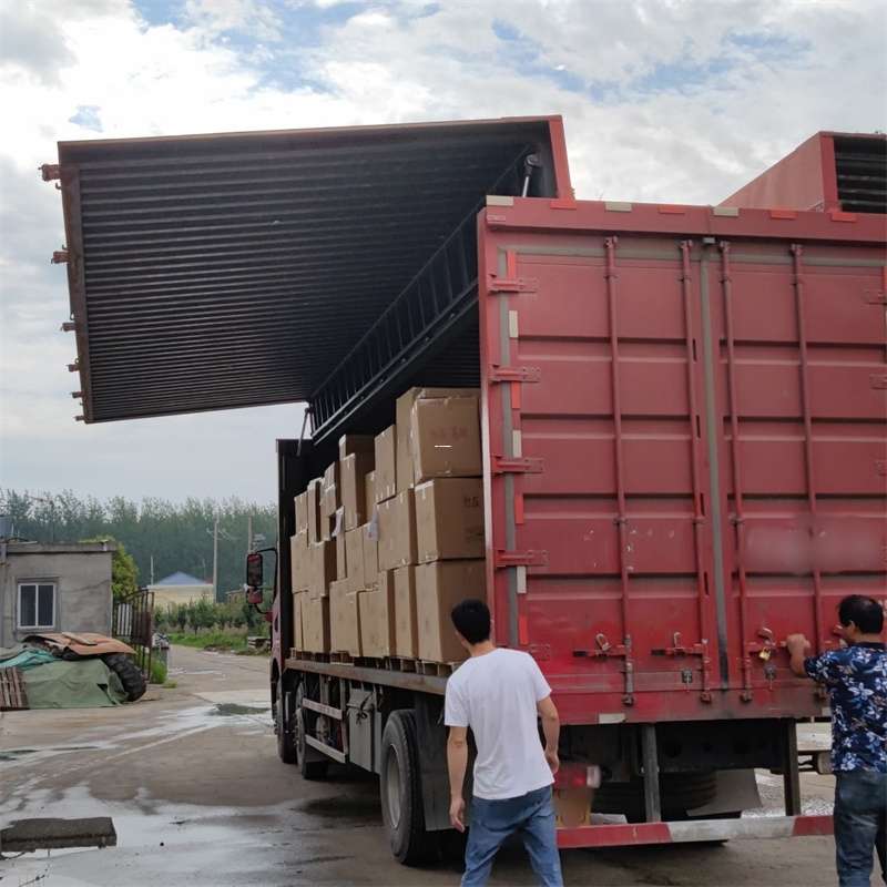 广丰区扎囊县：物流专线的高效货运之旅